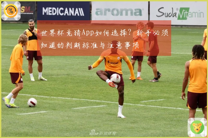 世界杯竞猜App如何选择？新手必须知道的判断标准与注意事项