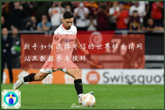 新手如何选择可信的世界杯竞猜网站及数据参考技巧