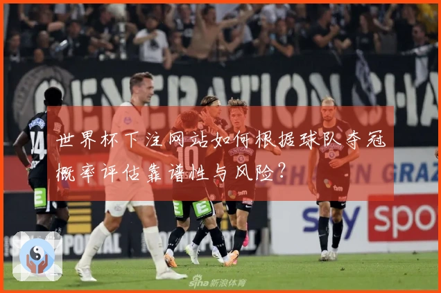 世界杯下注网站如何根据球队夺冠概率评估靠谱性与风险？