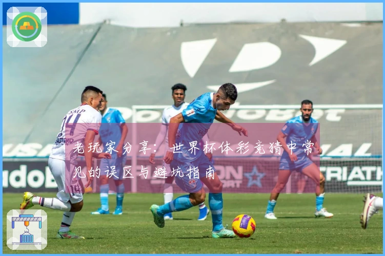 老玩家分享：世界杯体彩竞猜中常见的误区与避坑指南