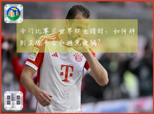 冷门比赛买世界杯竞猜时，如何辨别正规平台和避免被骗？