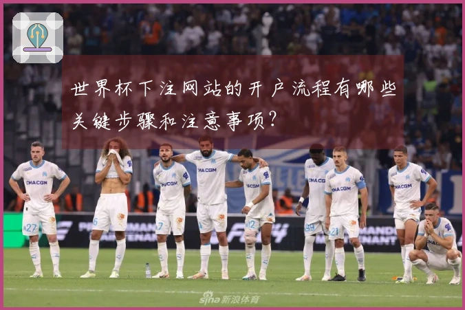 世界杯下注网站的开户流程有哪些关键步骤和注意事项？