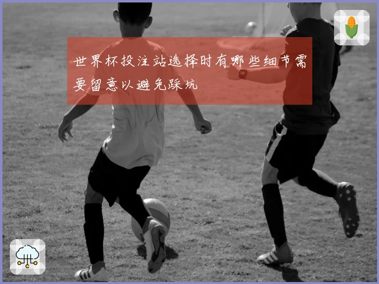世界杯投注站选择时有哪些细节需要留意以避免踩坑