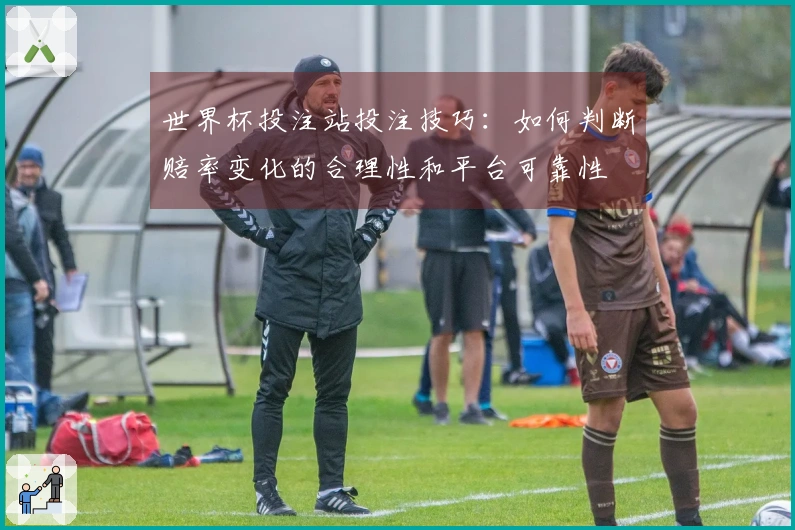 世界杯投注站投注技巧：如何判断赔率变化的合理性和平台可靠性