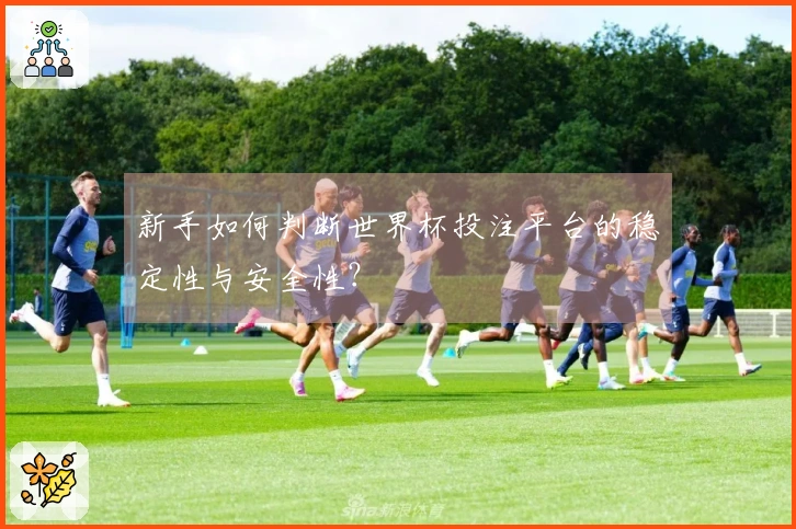 新手如何判断世界杯投注平台的稳定性与安全性？