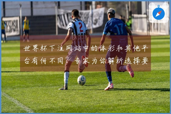 世界杯下注网站中的体彩和其他平台有何不同？专家为你解析选择要点