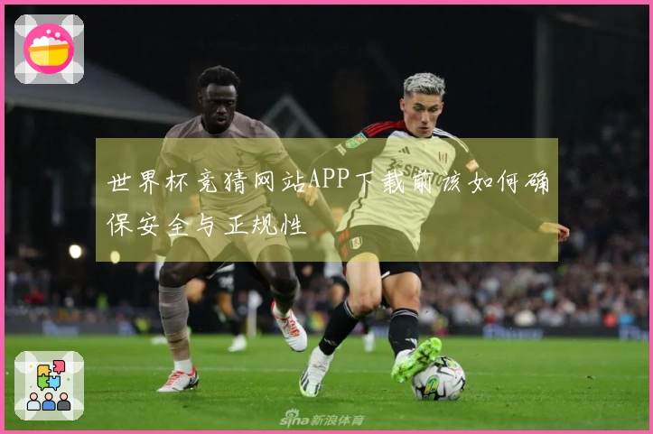 世界杯竞猜网站APP下载前该如何确保安全与正规性