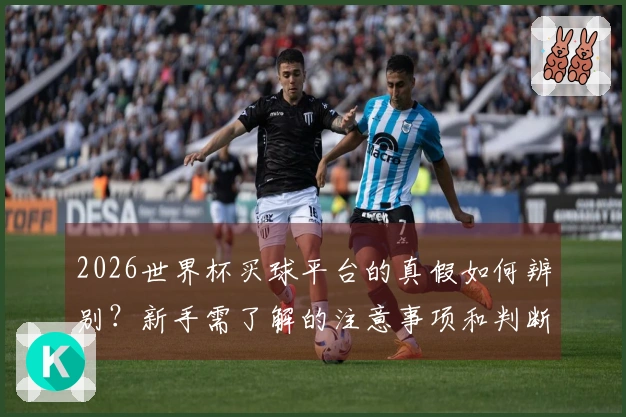 2026世界杯买球平台的真假如何辨别？新手需了解的注意事项和判断标准