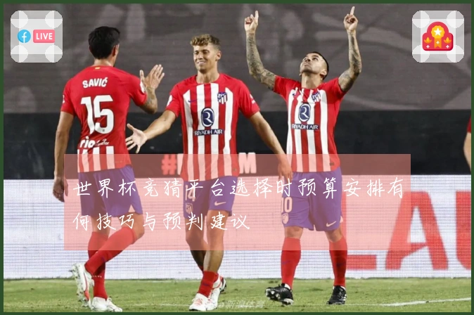 世界杯竞猜平台选择时预算安排有何技巧与预判建议