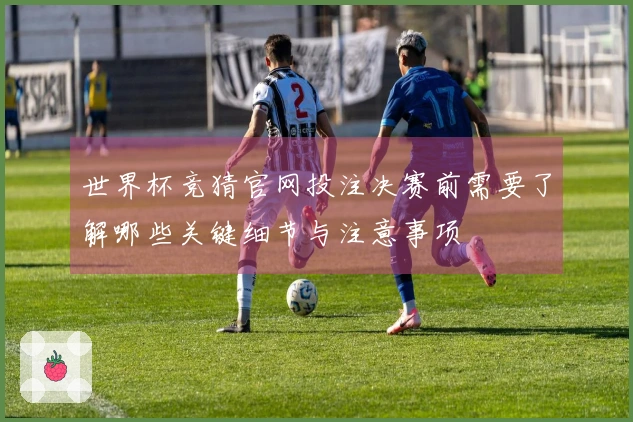 世界杯竞猜官网投注决赛前需要了解哪些关键细节与注意事项