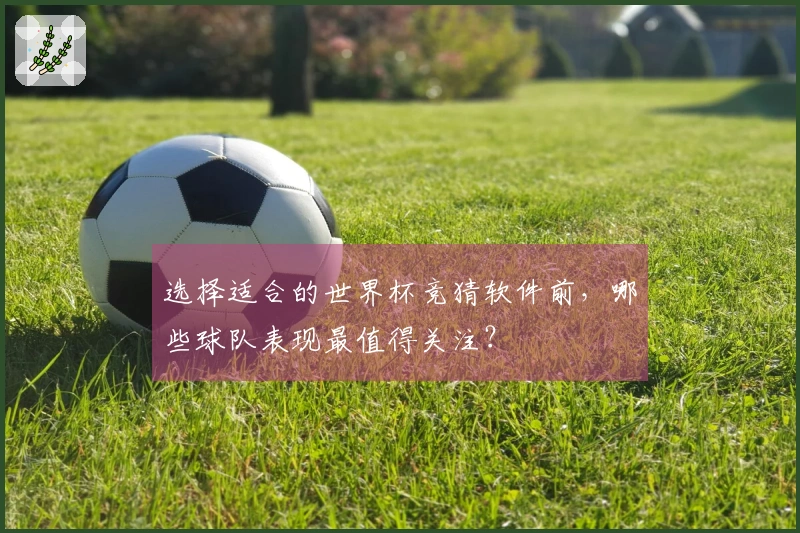 选择适合的世界杯竞猜软件前，哪些球队表现最值得关注？