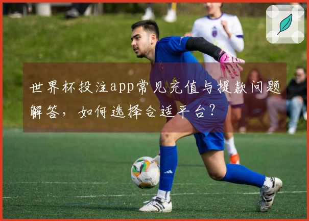世界杯投注app常见充值与提款问题解答，如何选择合适平台？