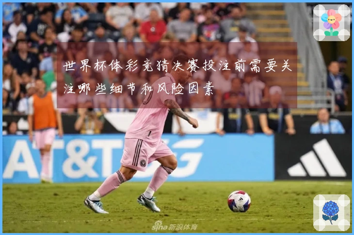 世界杯体彩竞猜决赛投注前需要关注哪些细节和风险因素