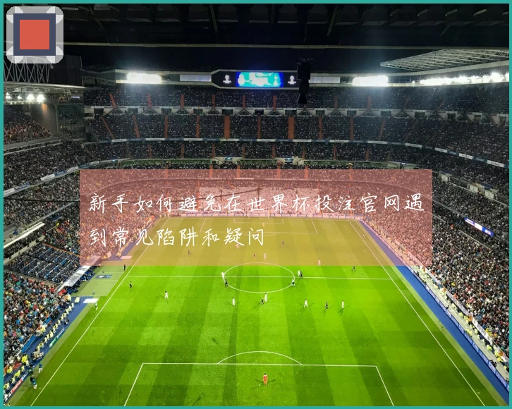 新手如何避免在世界杯投注官网遇到常见陷阱和疑问