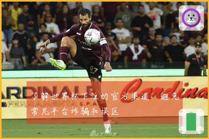 了解世界杯下注的官方渠道，避免常见平台诈骗和误区