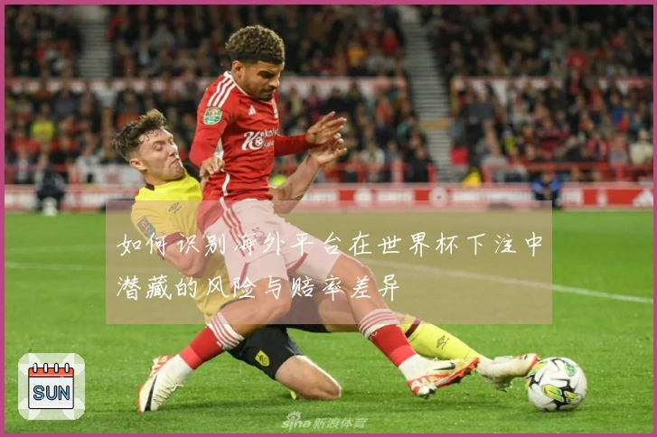 如何识别海外平台在世界杯下注中潜藏的风险与赔率差异