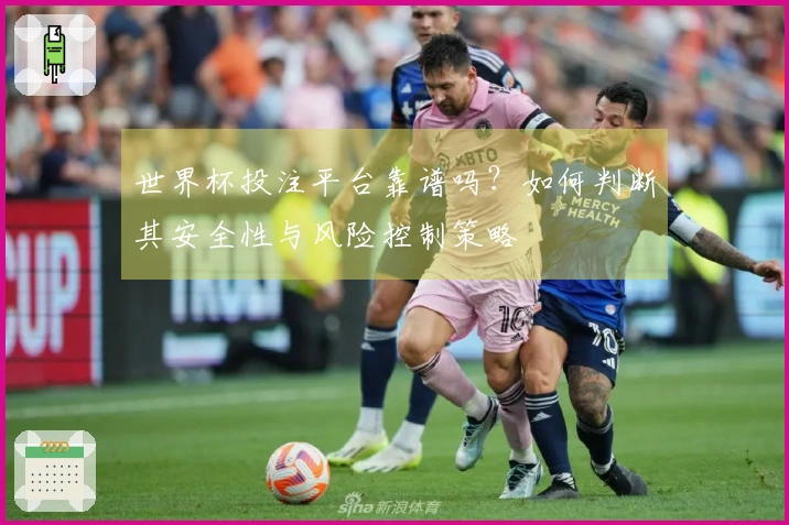 世界杯投注平台靠谱吗？如何判断其安全性与风险控制策略