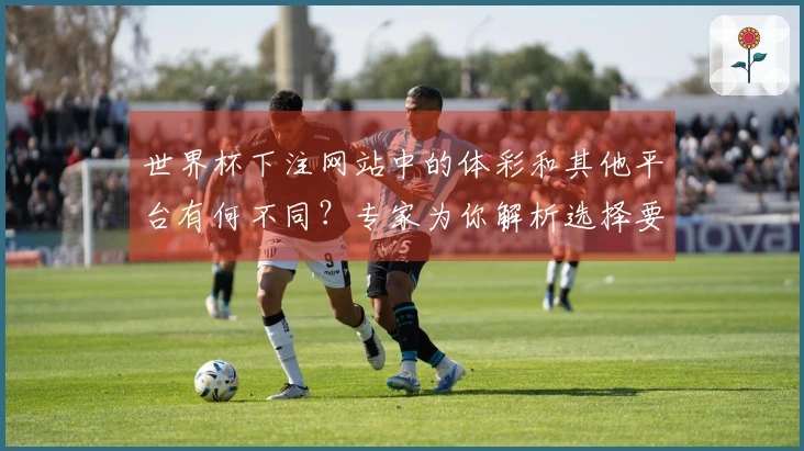 世界杯下注网站中的体彩和其他平台有何不同？专家为你解析选择要点