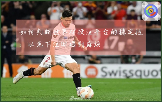 如何判断世界杯投注平台的稳定性，以免下注时遇到麻烦