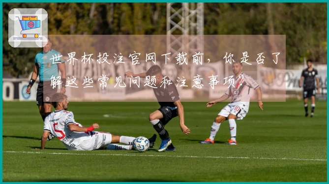 世界杯投注官网下载前，你是否了解这些常见问题和注意事项？