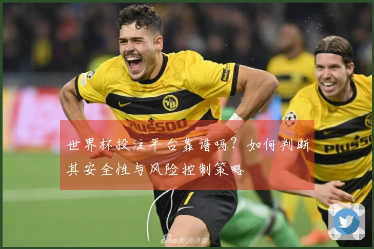 世界杯投注平台靠谱吗？如何判断其安全性与风险控制策略