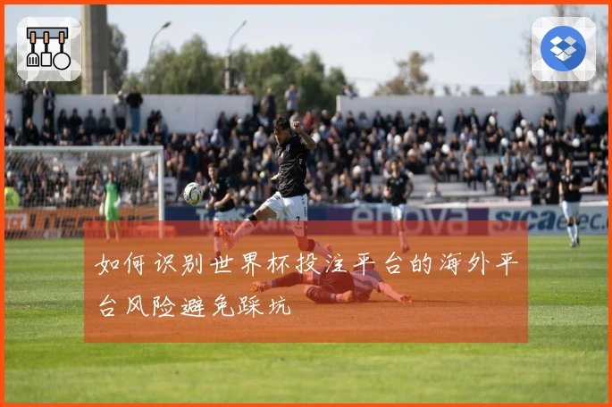 如何识别世界杯投注平台的海外平台风险避免踩坑