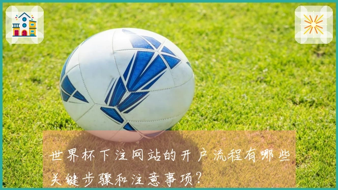世界杯下注网站的开户流程有哪些关键步骤和注意事项？