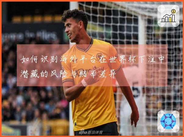 如何识别海外平台在世界杯下注中潜藏的风险与赔率差异