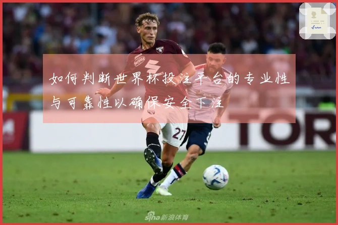 如何判断世界杯投注平台的专业性与可靠性以确保安全下注