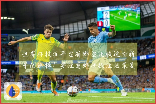 世界杯投注平台有哪些比较适合新手的选择？要注意哪些投注记录复盘技巧？