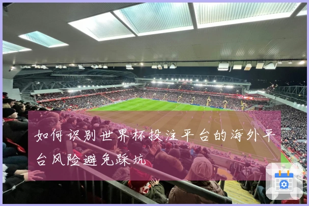 如何识别世界杯投注平台的海外平台风险避免踩坑